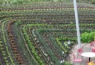 Coombabahpermaculture-5.jpg; ?>