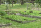 Coombabahpermaculture-8.jpg; ?>